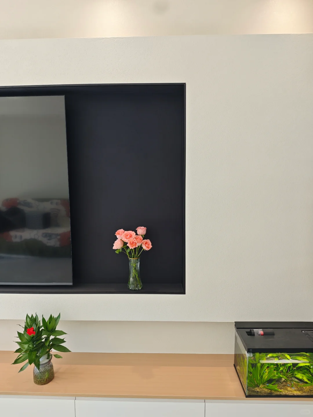 网购了一颗鸭脚木，绿植果然是最好的软装