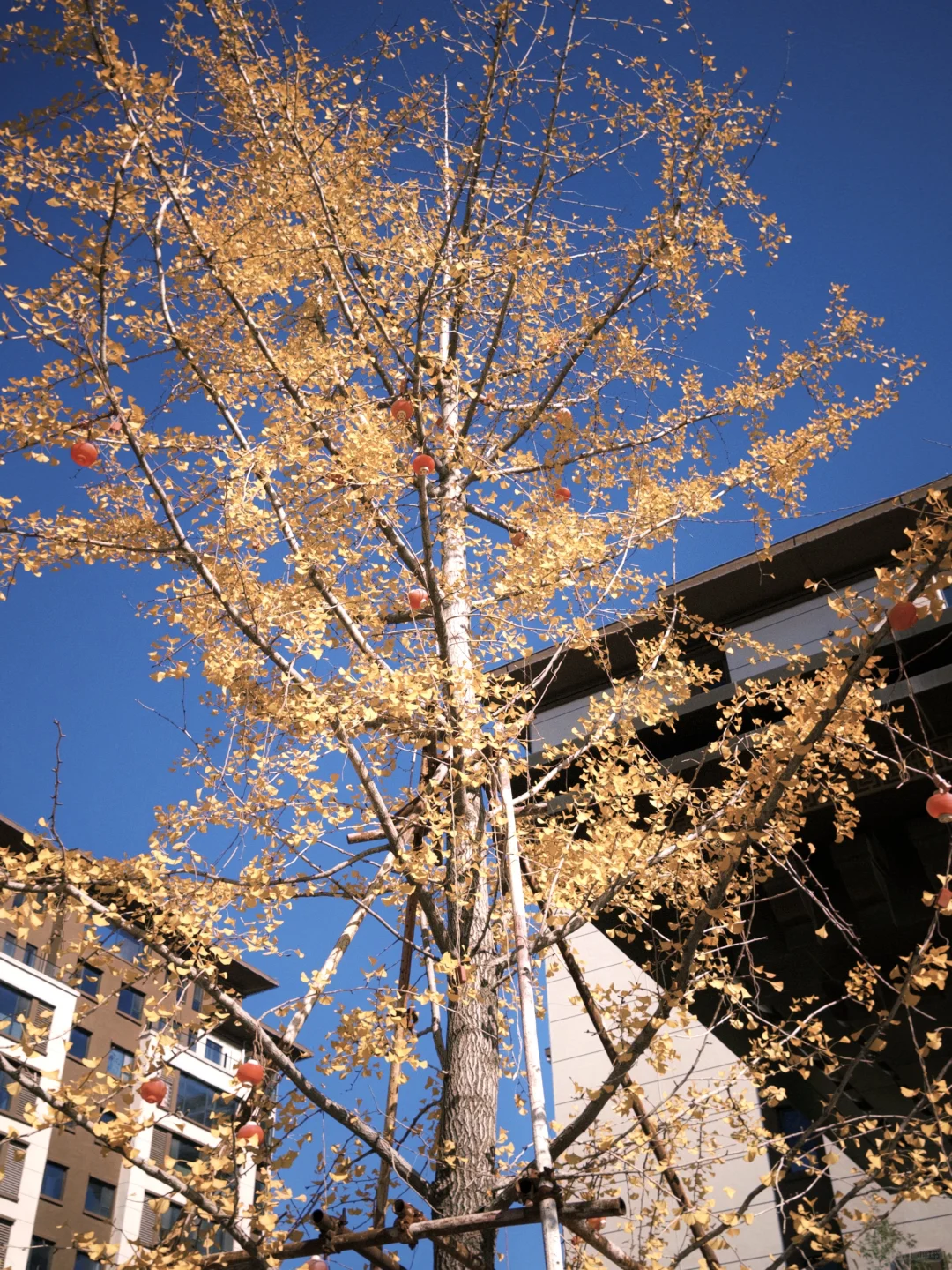 魏县有没有好一点的装修风格呀～