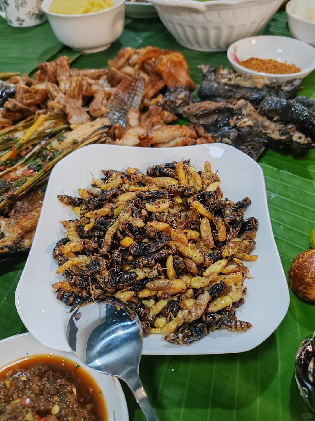 牙医与律师的晚餐，今天上新房！