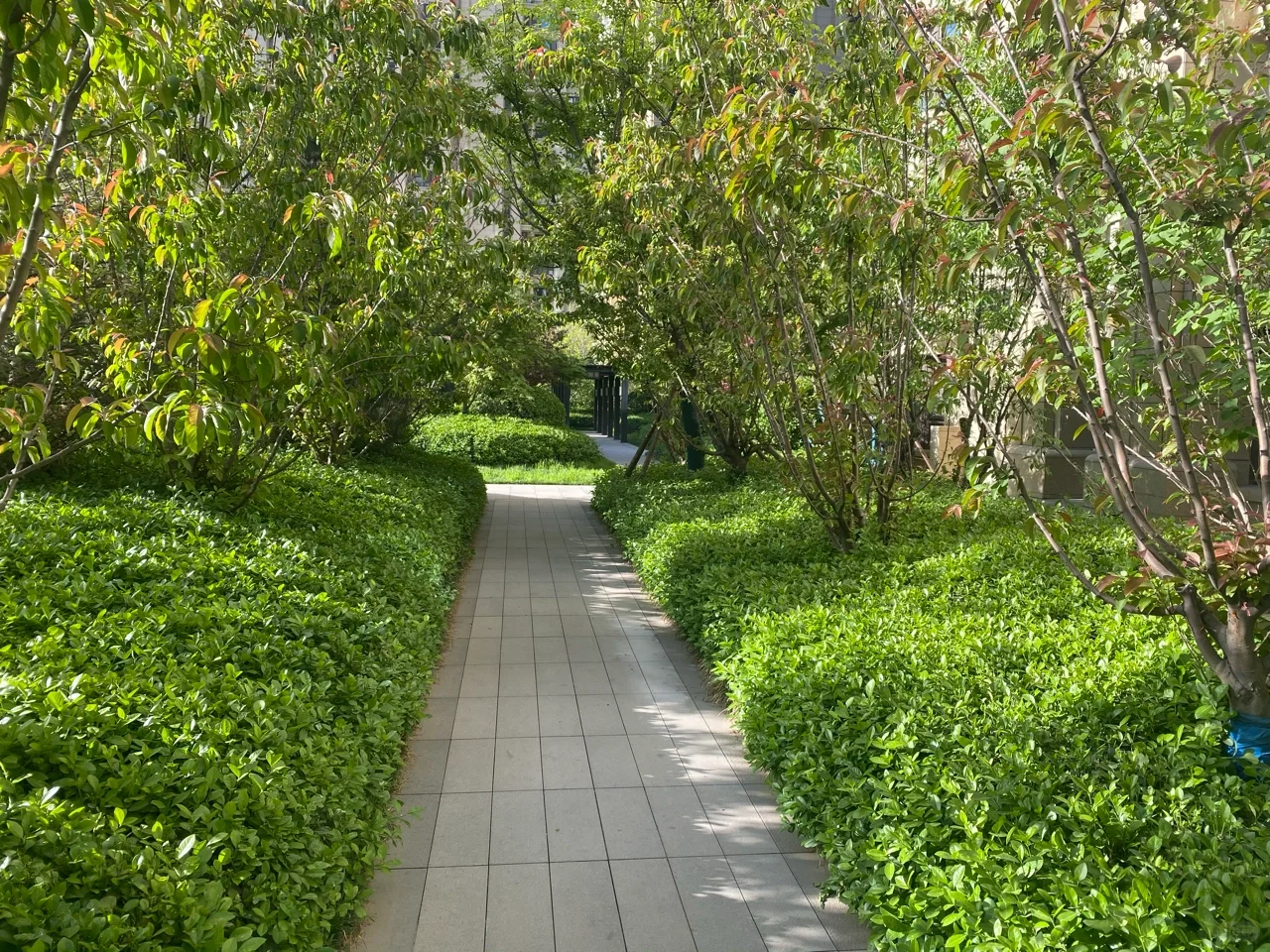 石家庄二手房中介费多少？买新房要找中介吗