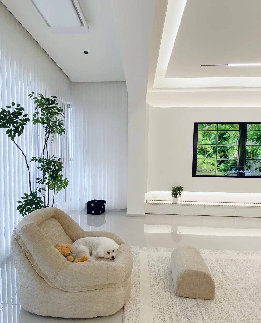 邻居说，你这房子成为小区品牌代言了😂