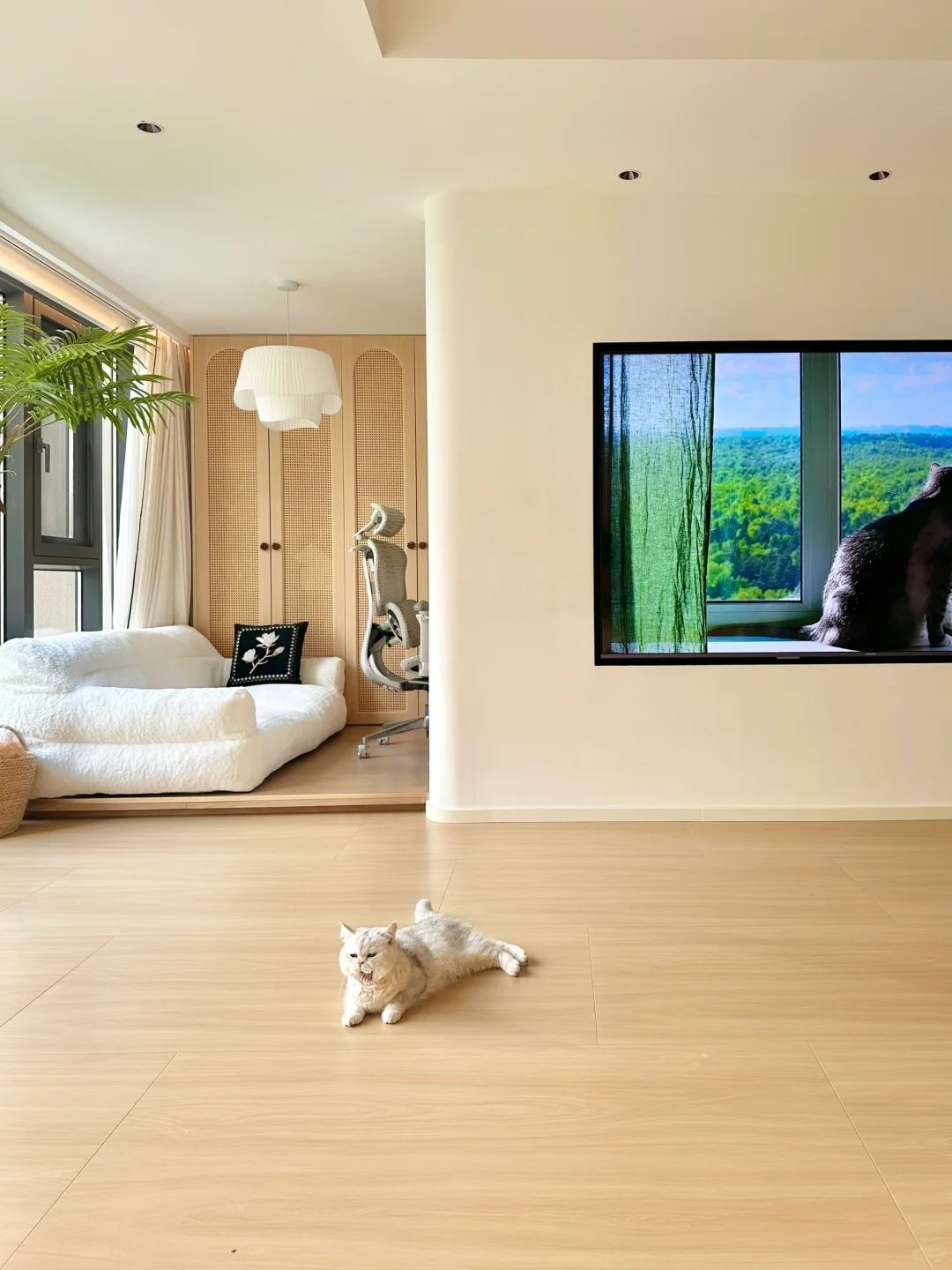 听我一句劝，木纹砖通铺真的好显大