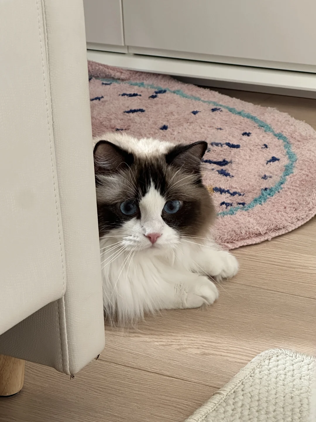 十二平小卧室，干净整洁就好啦✨✨