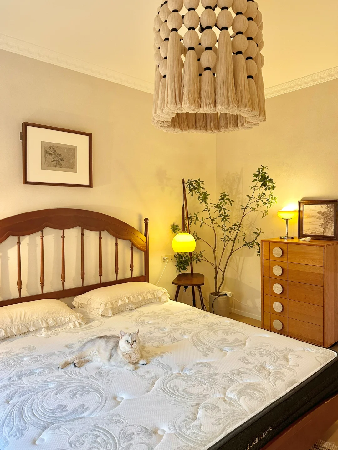 听我一句劝，木纹砖通铺真的好显大