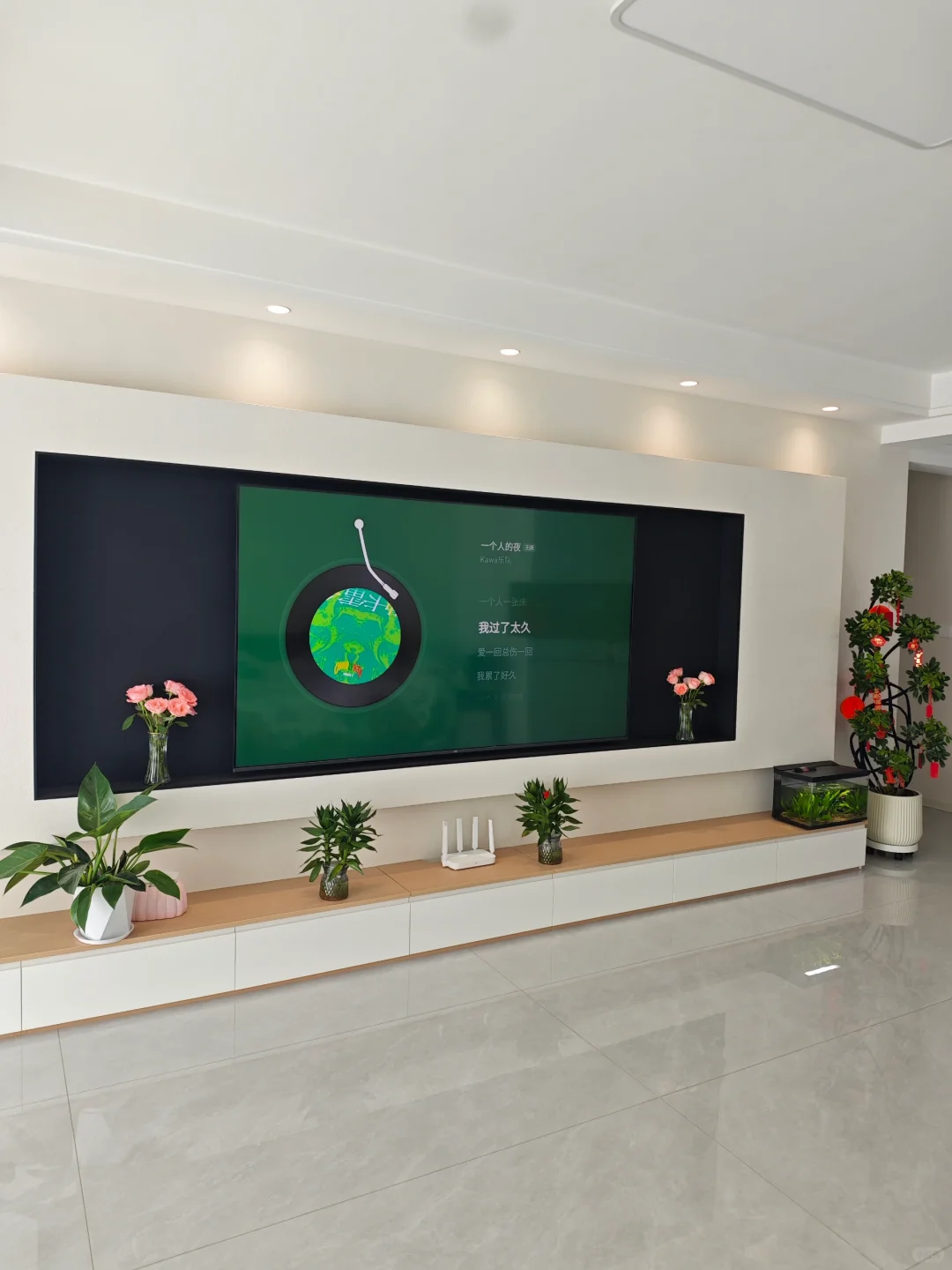 网购了一颗鸭脚木，绿植果然是最好的软装