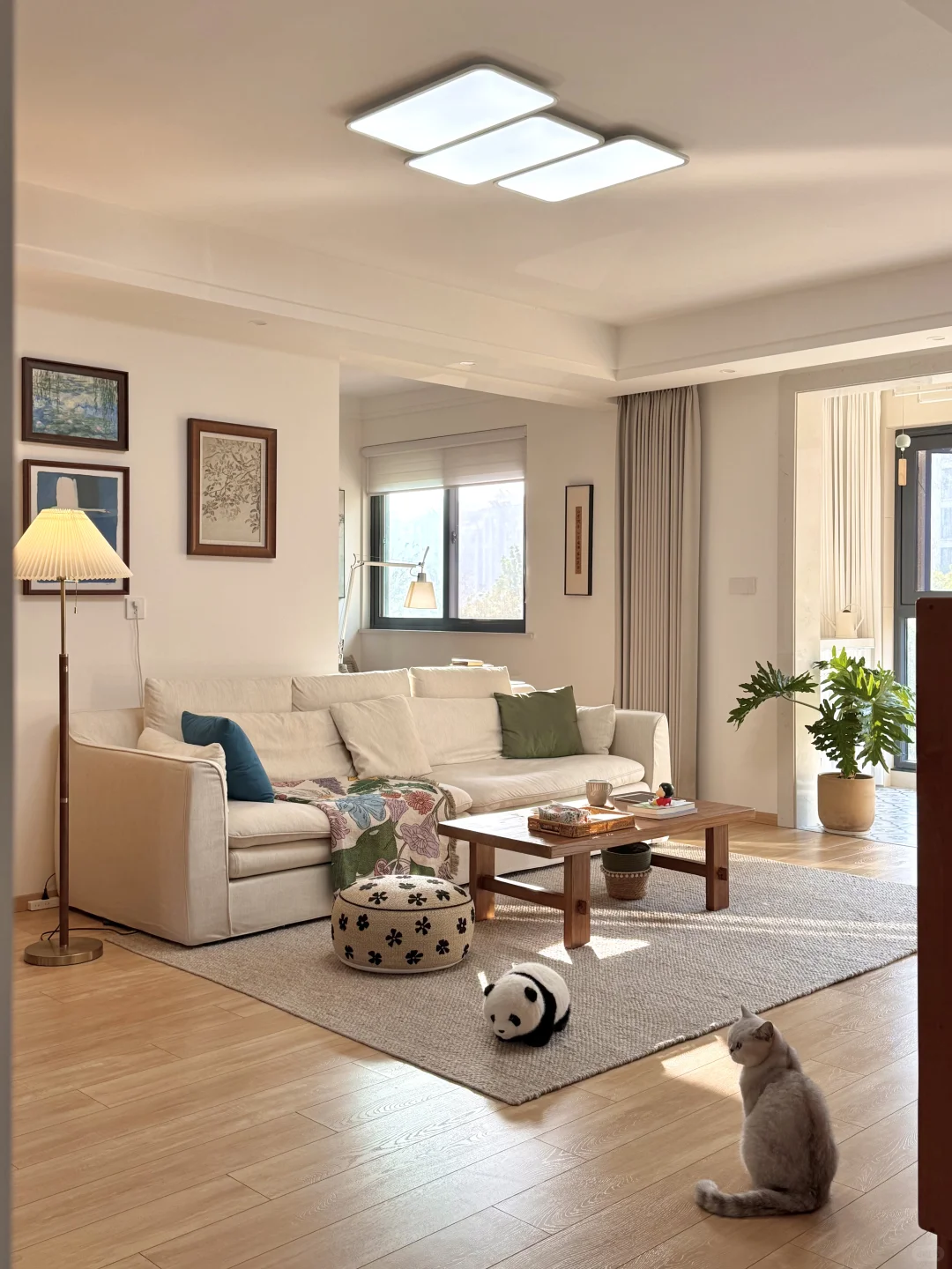 人就应该住在采光好的地方！