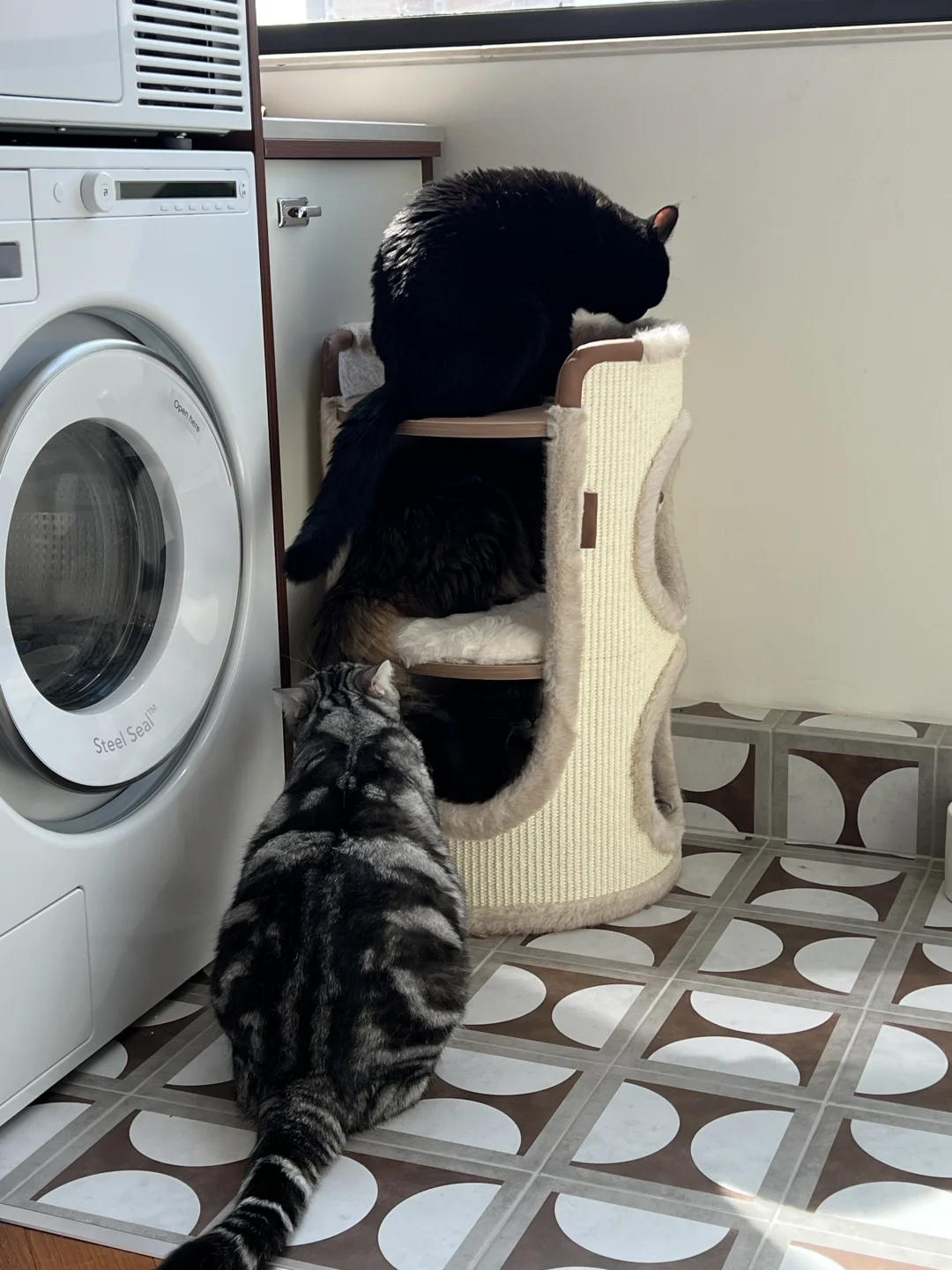 退掉400w新房后 重新装修的老房子