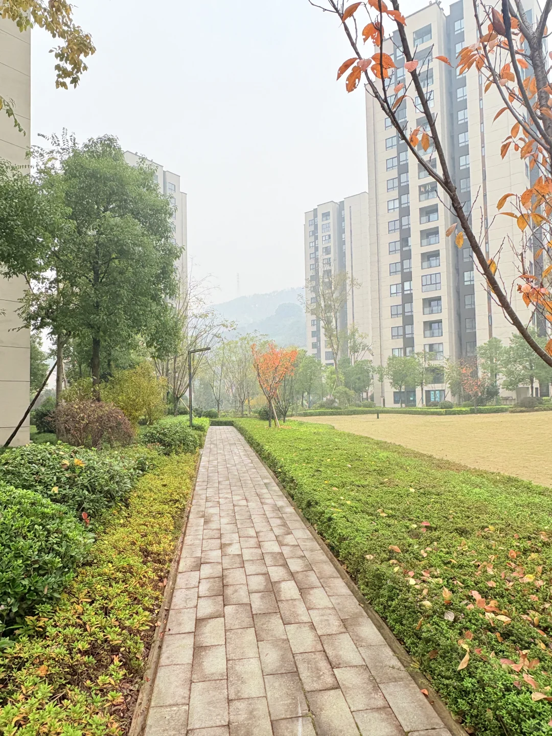 在重庆，首付1颗，月供1000多，小高三房手慢无