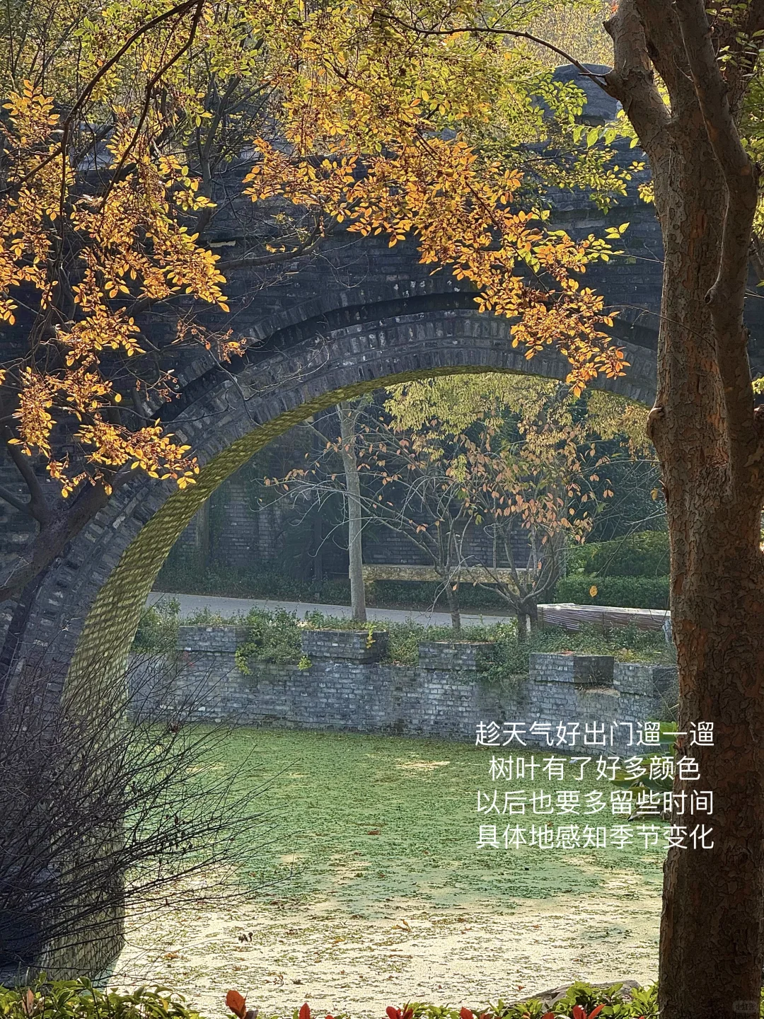 人就应该住在采光好的地方！