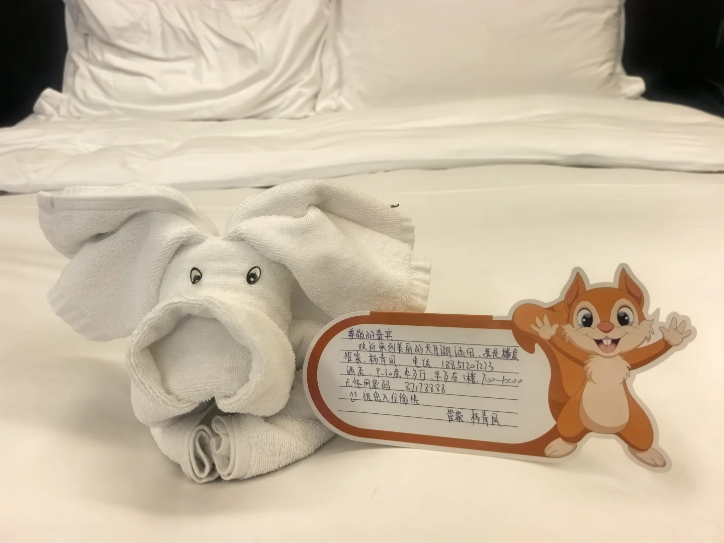 月入5万 沪漂中女二手房中介 形象和头脑