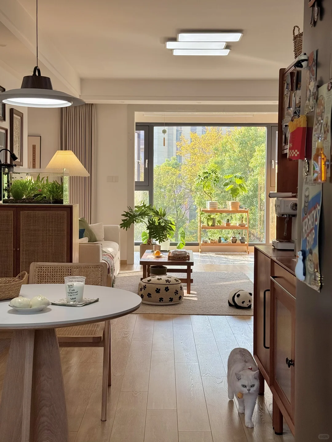 人就应该住在采光好的地方！