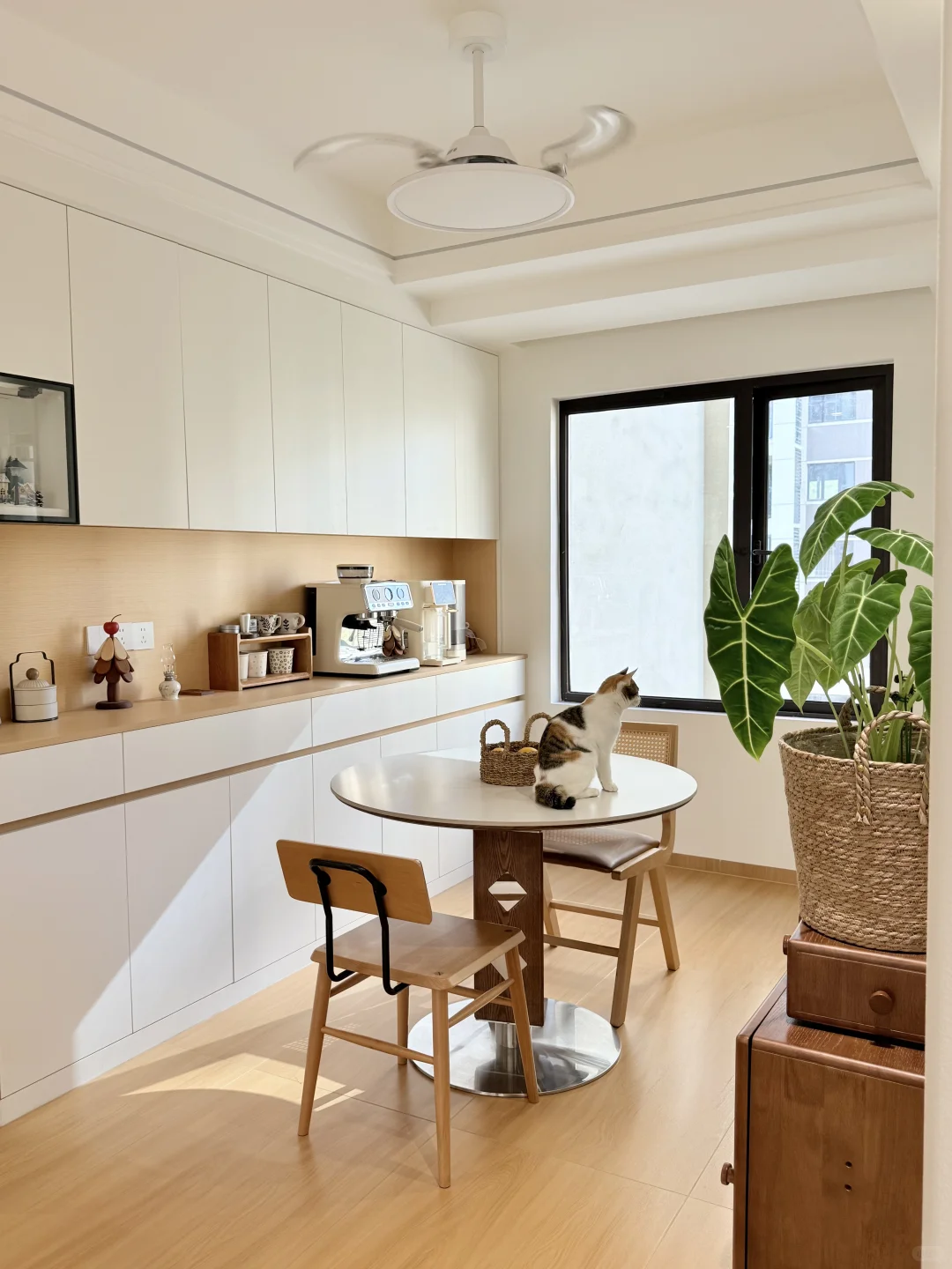 第一次装修就装出来dream house！