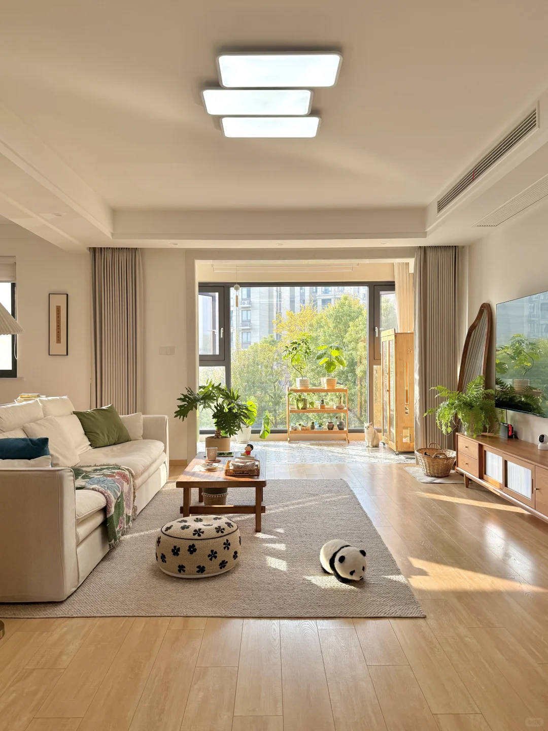 人就应该住在采光好的地方！