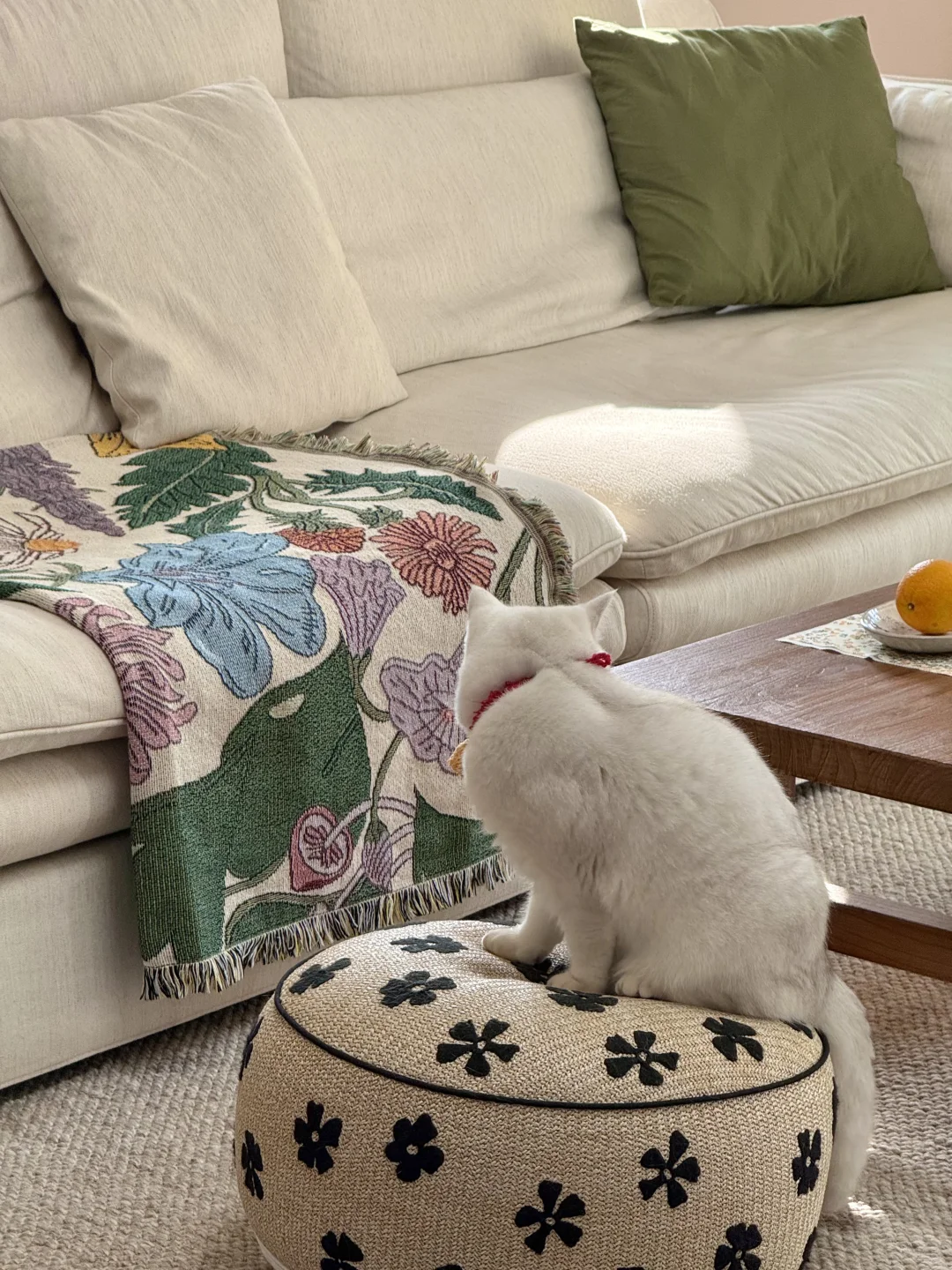 人就应该住在采光好的地方！