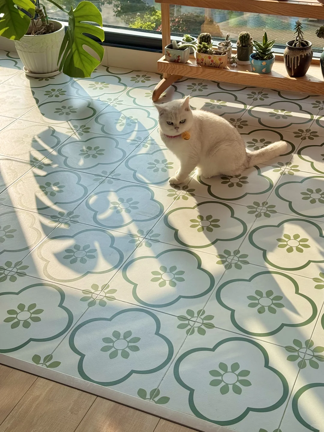 人就应该住在采光好的地方！