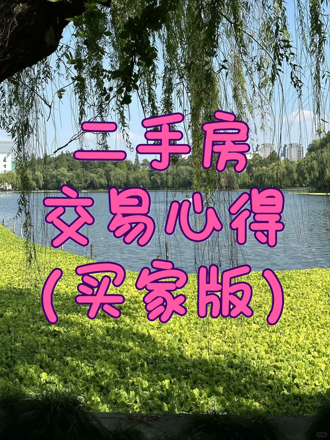 亲身实测｜二手房交易tips （买家版）