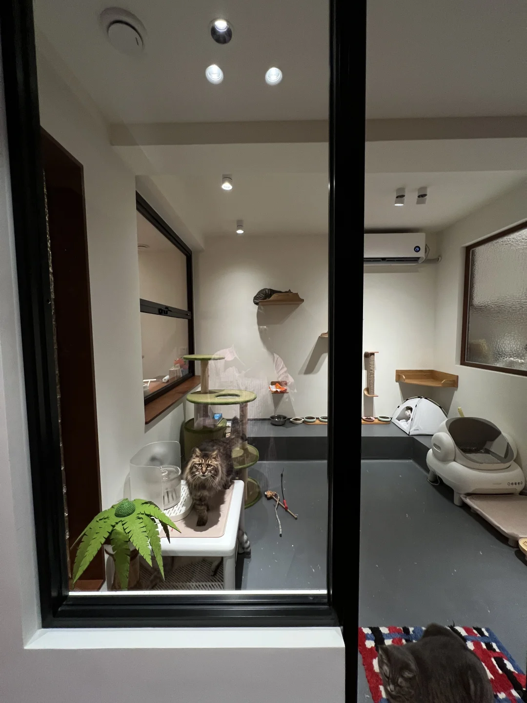 退掉400w新房后 重新装修的老房子