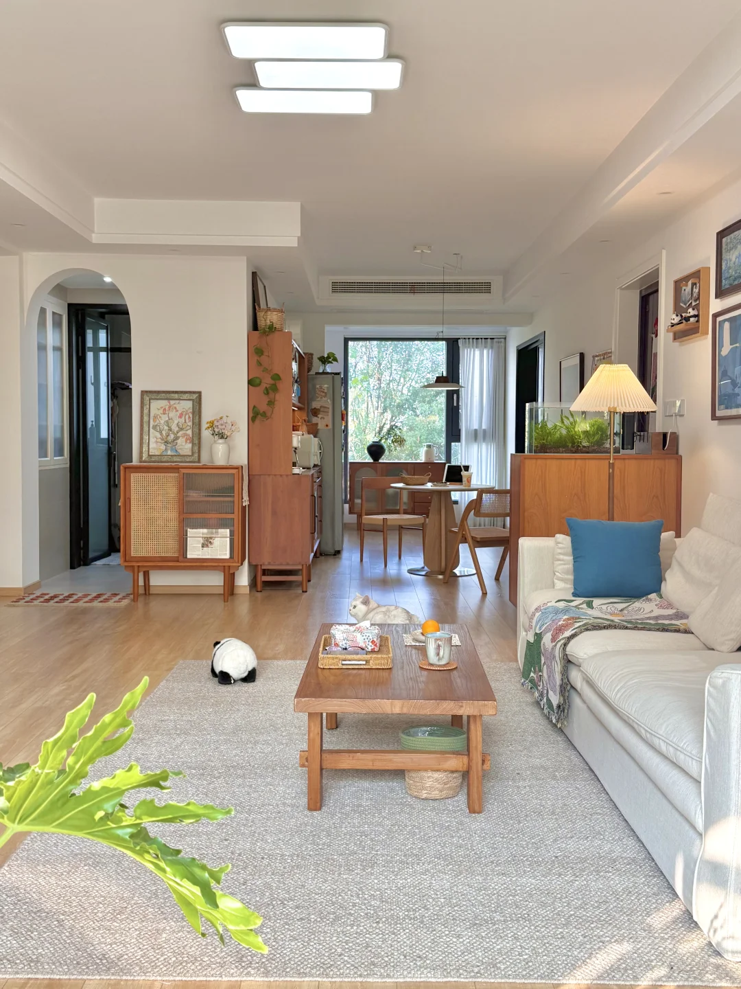 人就应该住在采光好的地方！