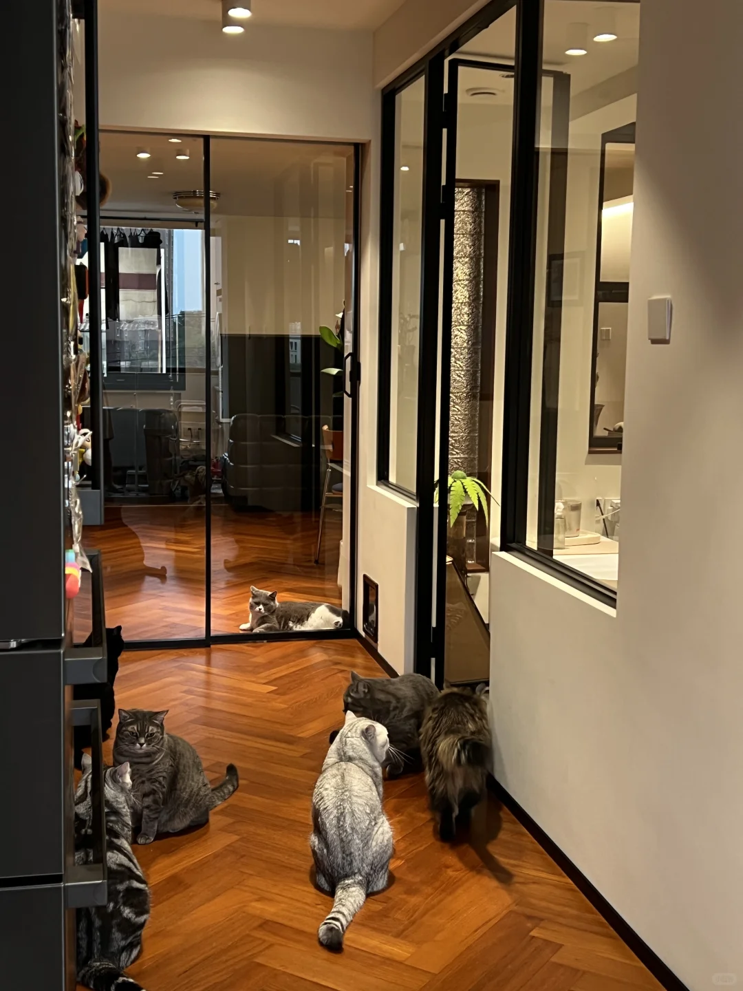 退掉400w新房后 重新装修的老房子