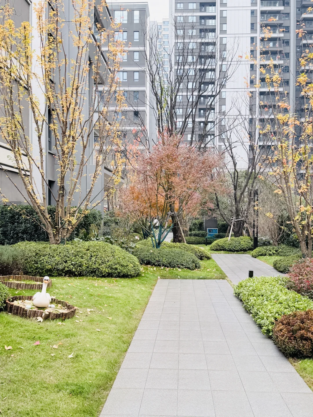 带着小神兽收房啦！中粮的家满是惊喜✨