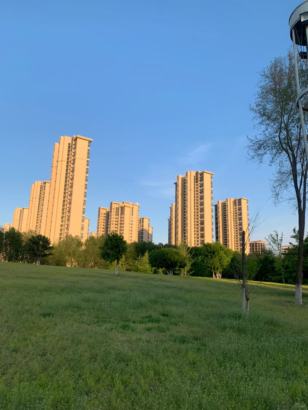 我在浑南买房啦！谈谈避坑之中介篇