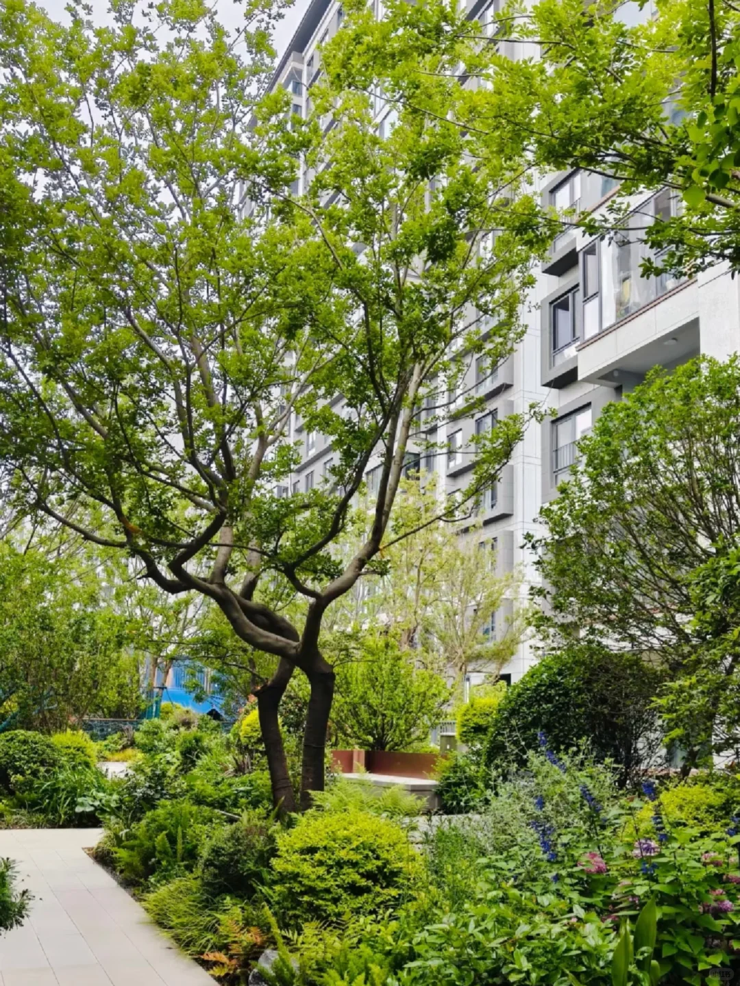 临港中铁诺德璟宸精装修新房，返点80%