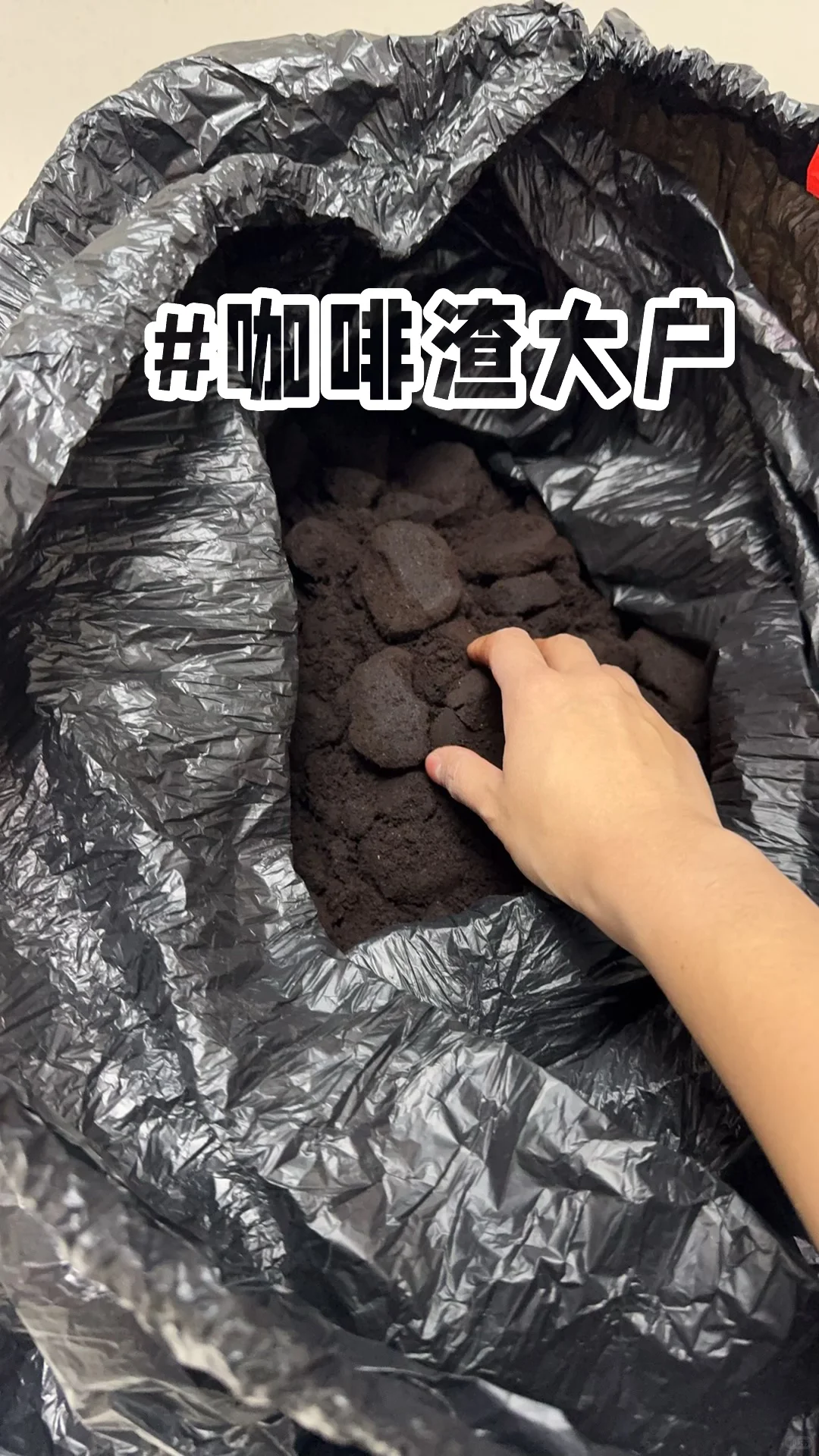 邪修新房去味——星巴克咖啡渣大用处🥳