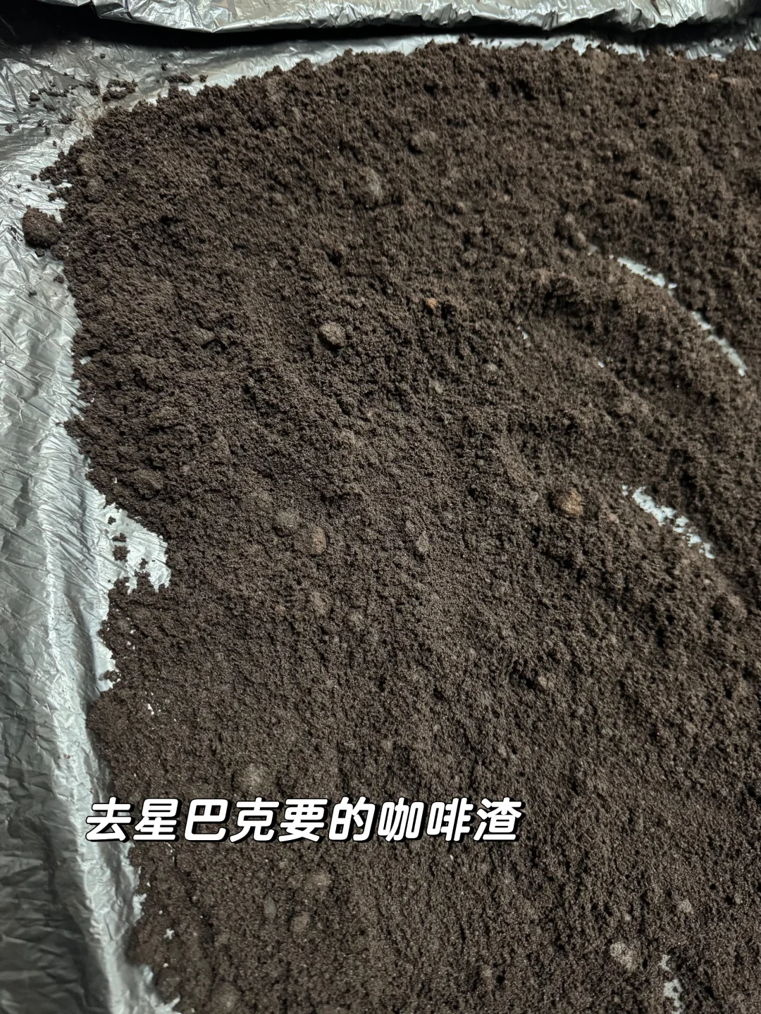 邪修新房去味——星巴克咖啡渣大用处🥳