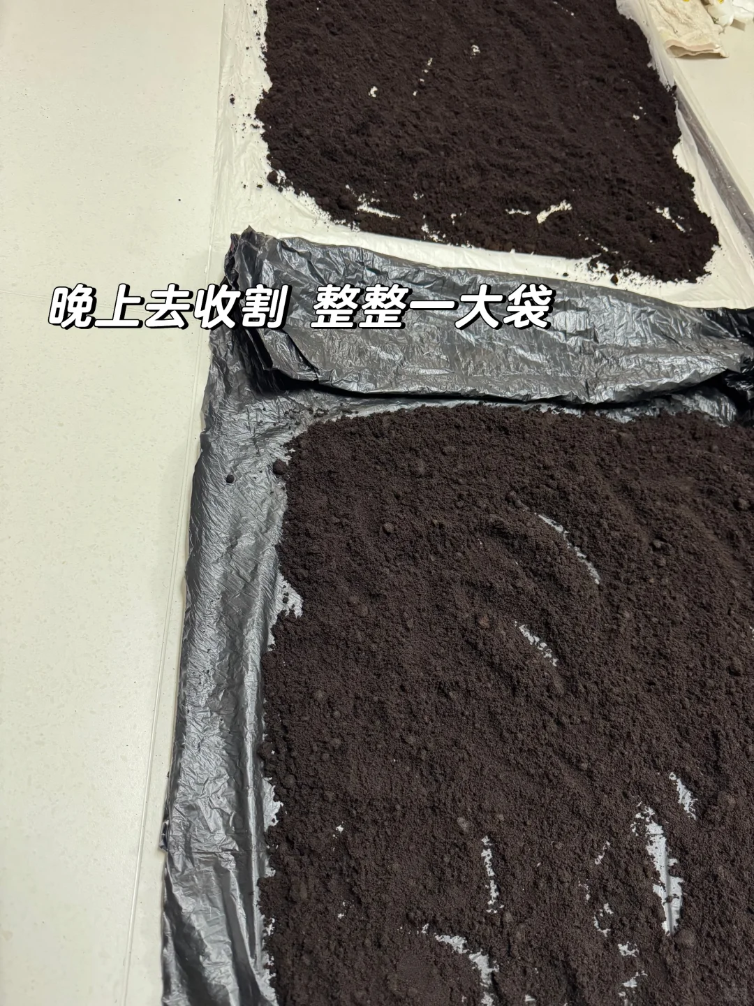 邪修新房去味——星巴克咖啡渣大用处🥳