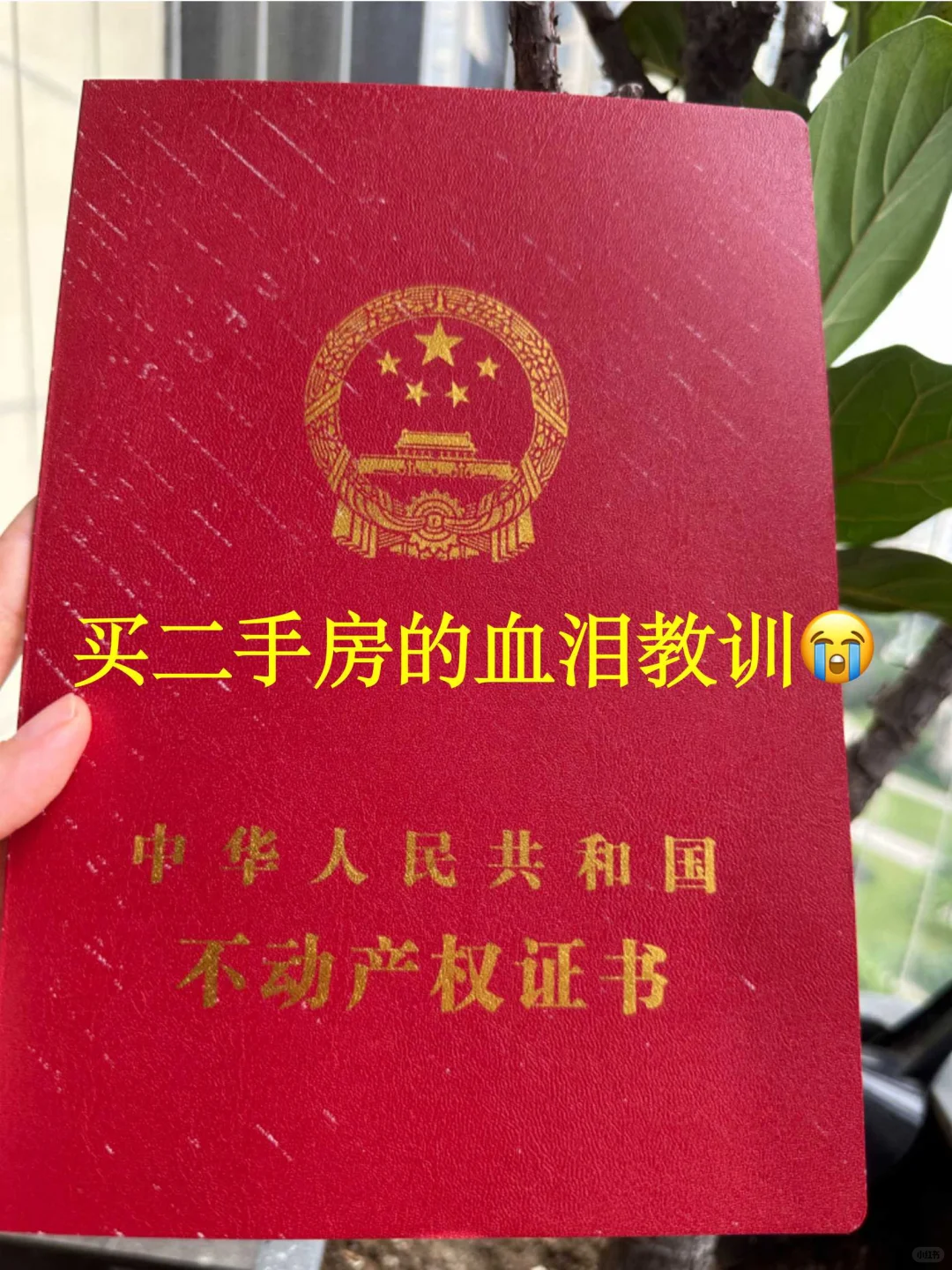 哭了😭早看到就不会被中介公司随意忽悠了