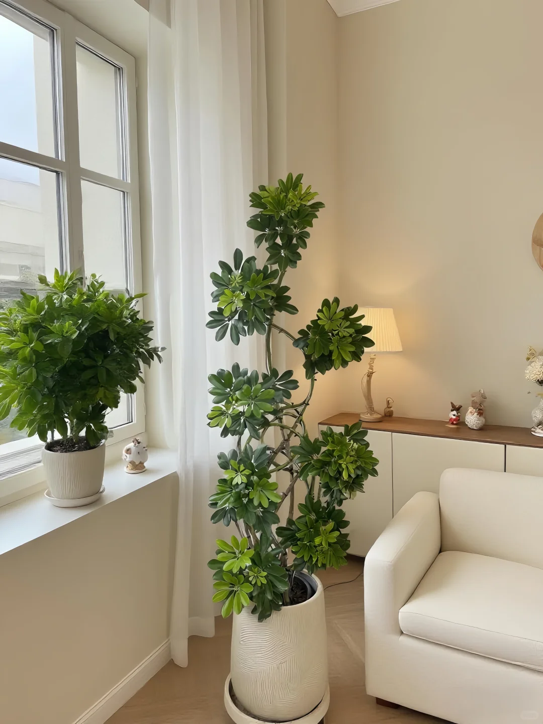 让家焕发生命力的秘密🌼✨