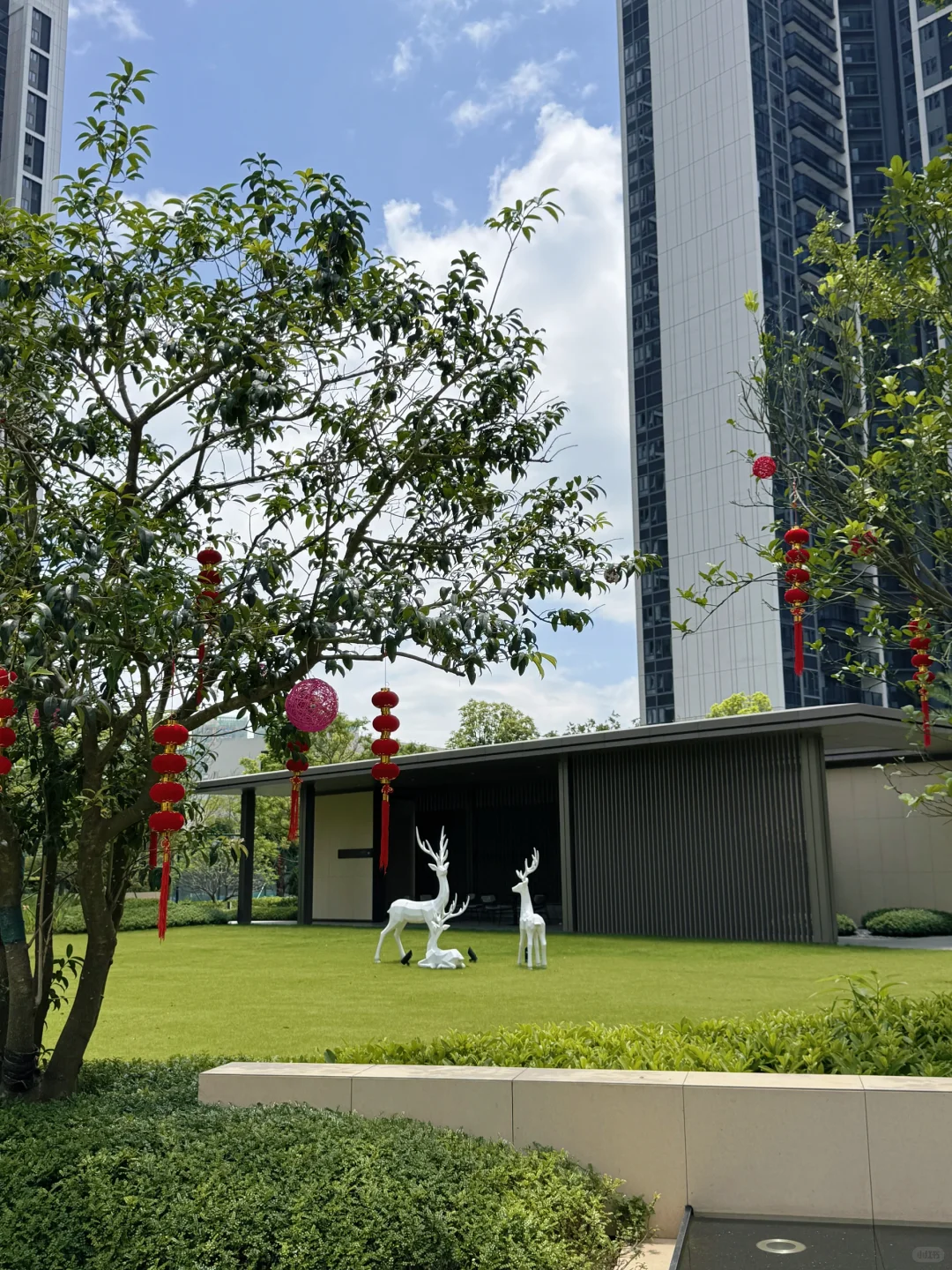 深漂六年，拥有人生第一套房