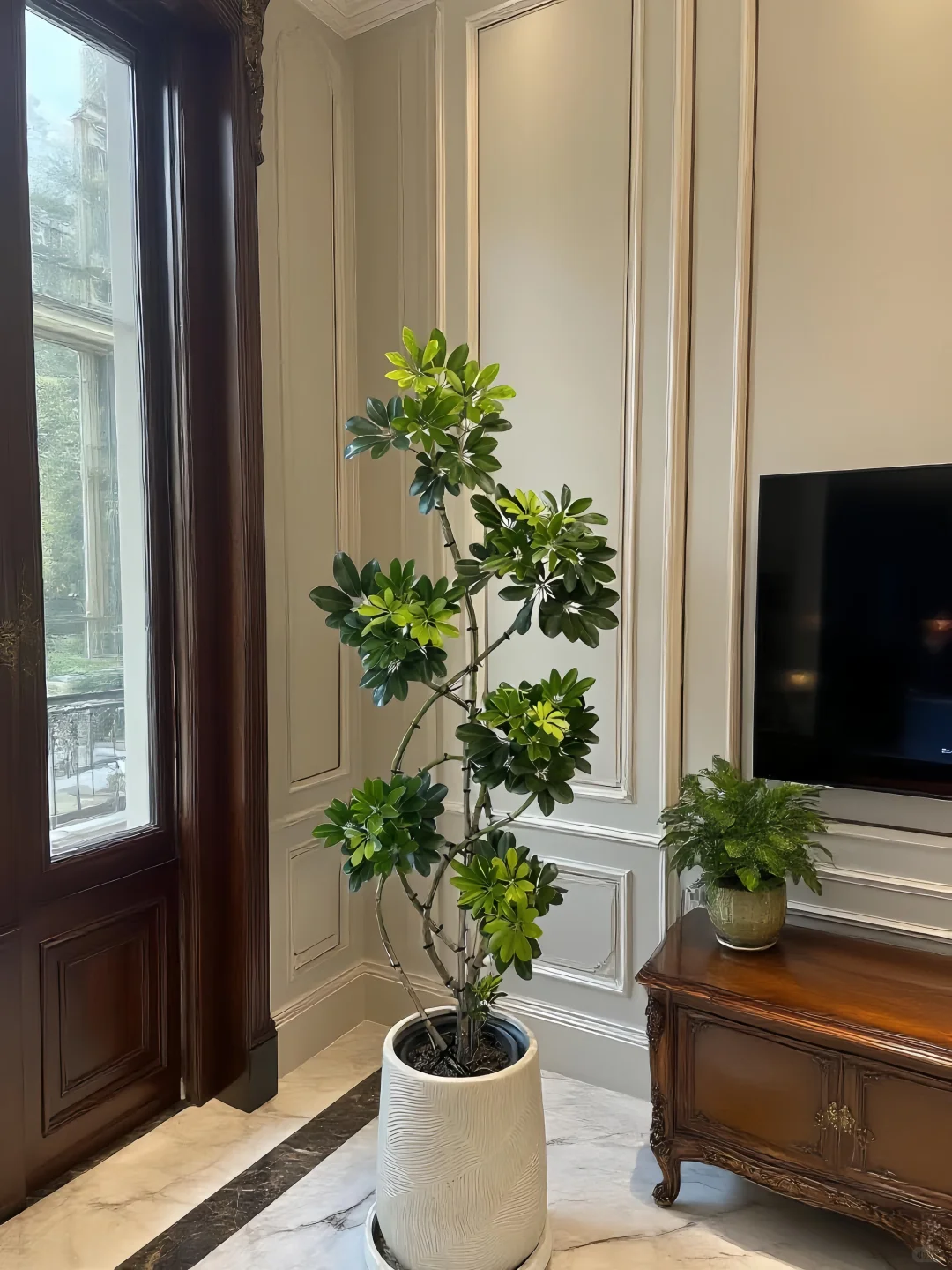 让家焕发生命力的秘密🌼✨