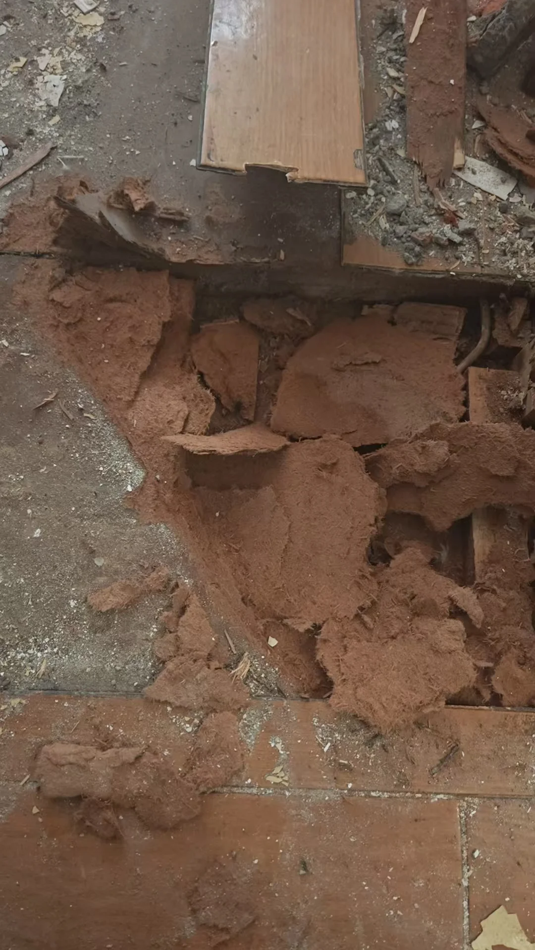 装修日记之拆旧篇