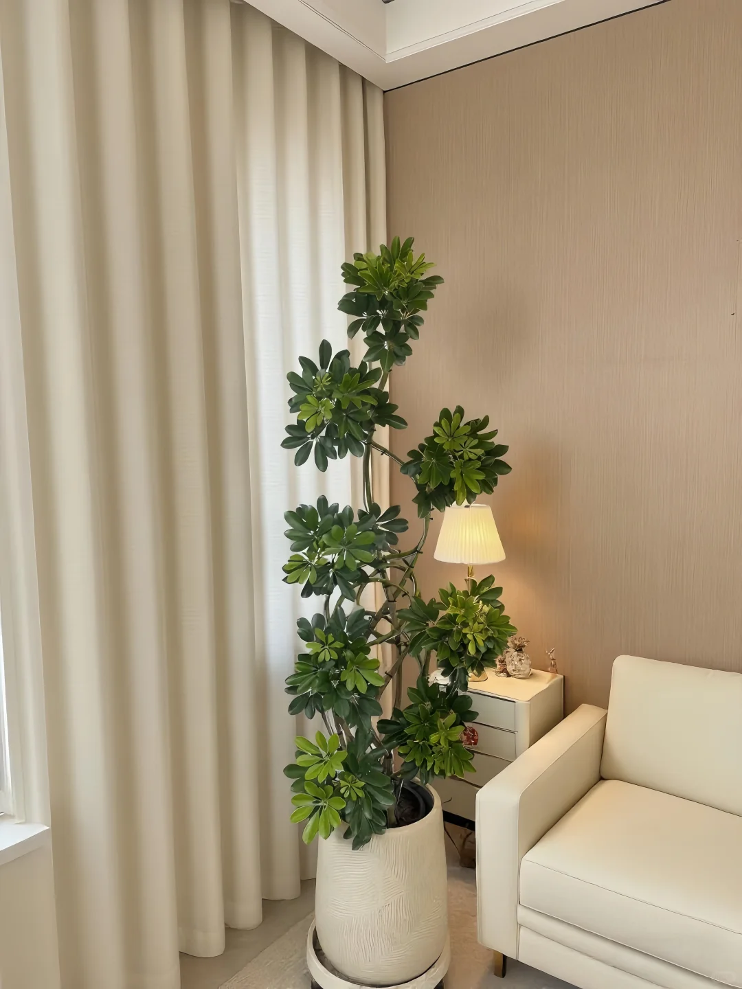 让家焕发生命力的秘密🌼✨