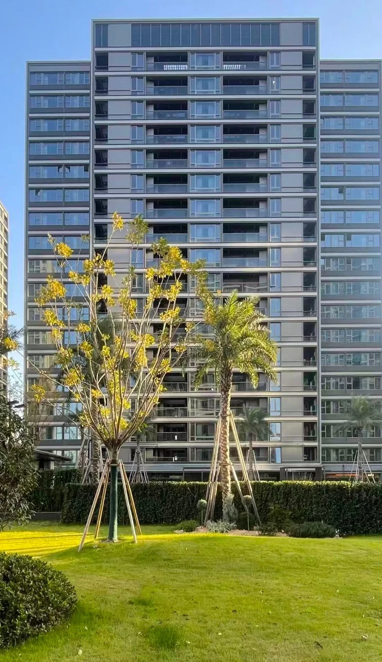 百无禁忌，收房大吉大利!