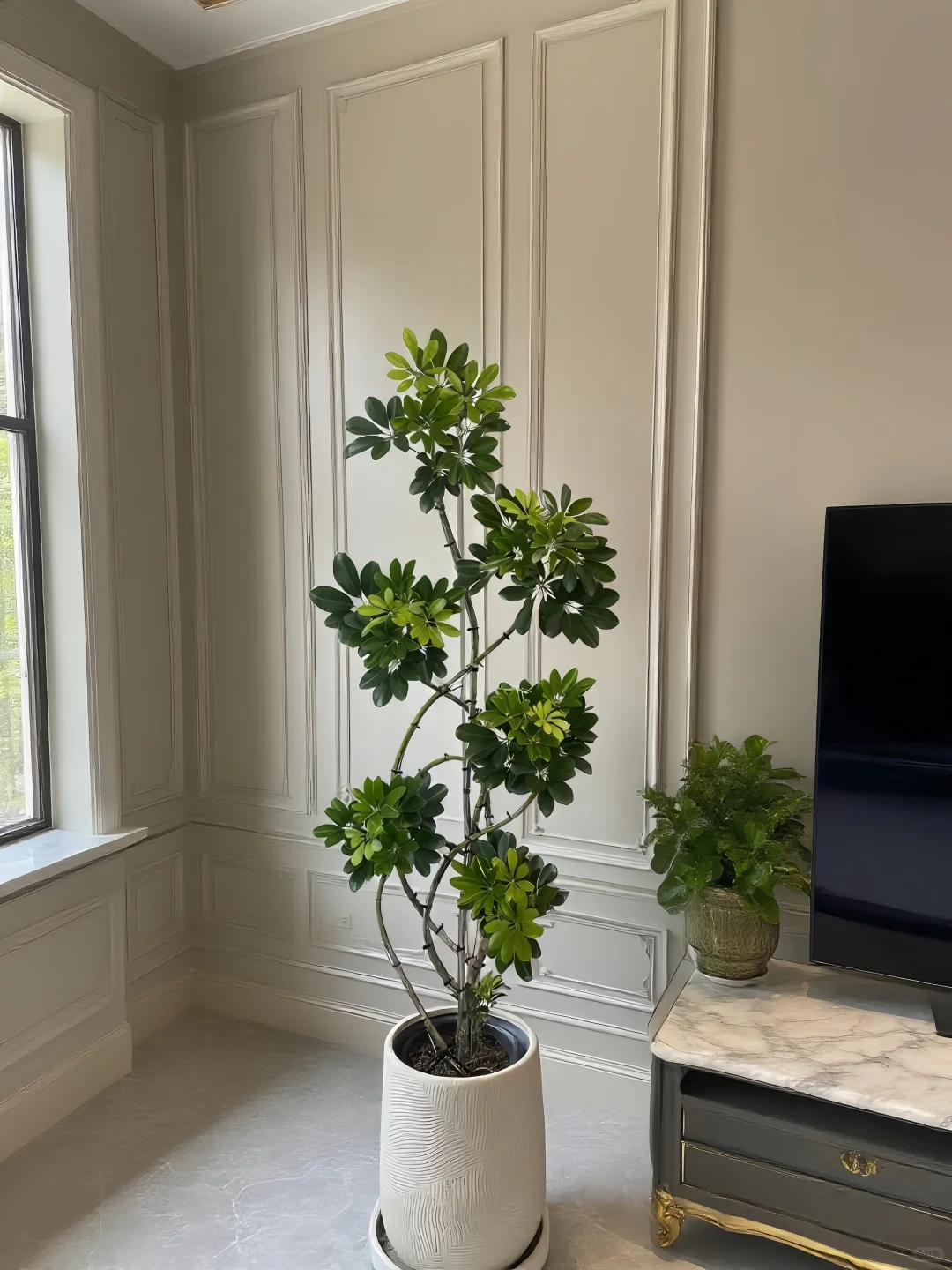 让家焕发生命力的秘密🌼✨