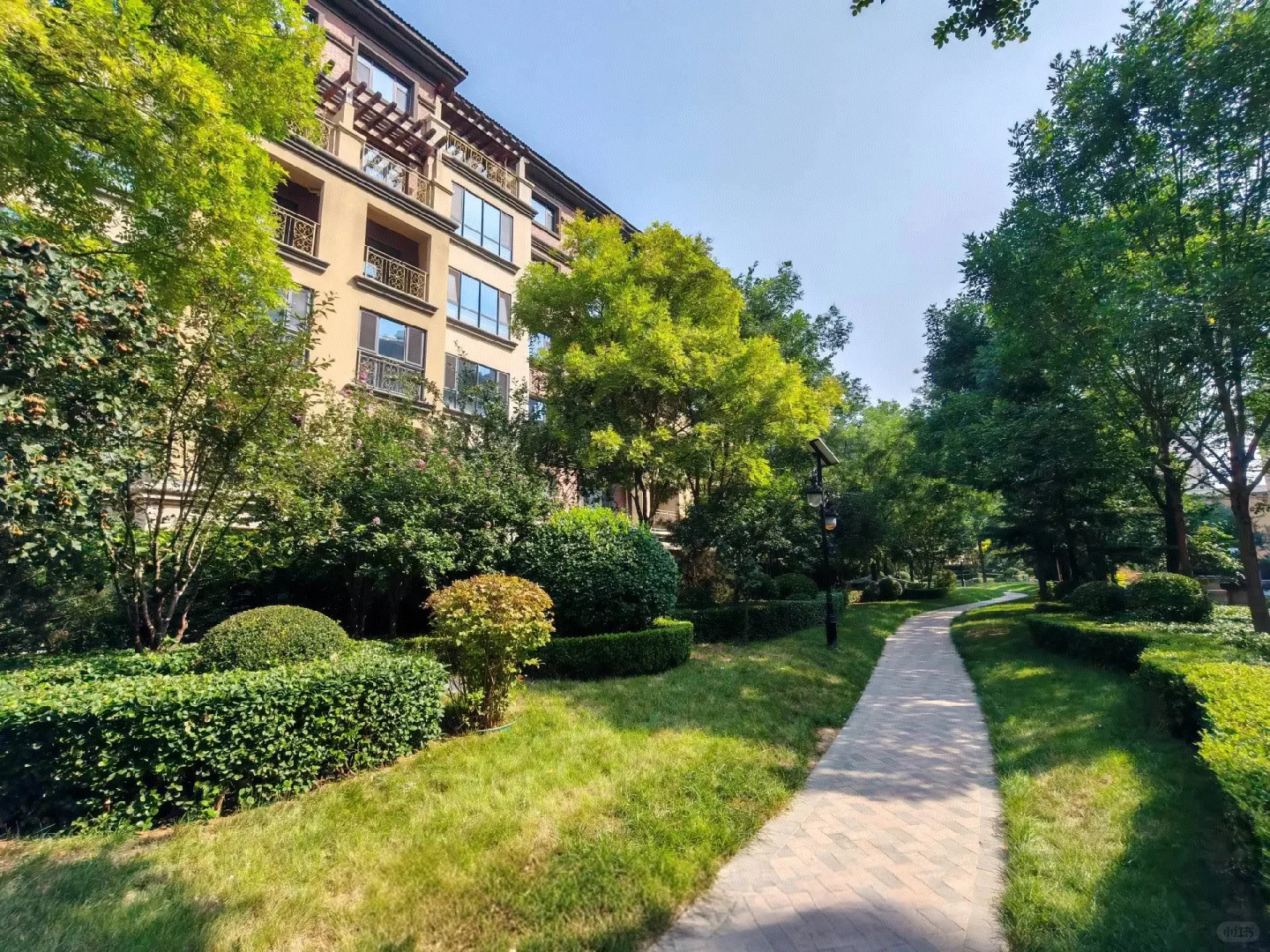 石家庄选房六个月，毕业下车了！！