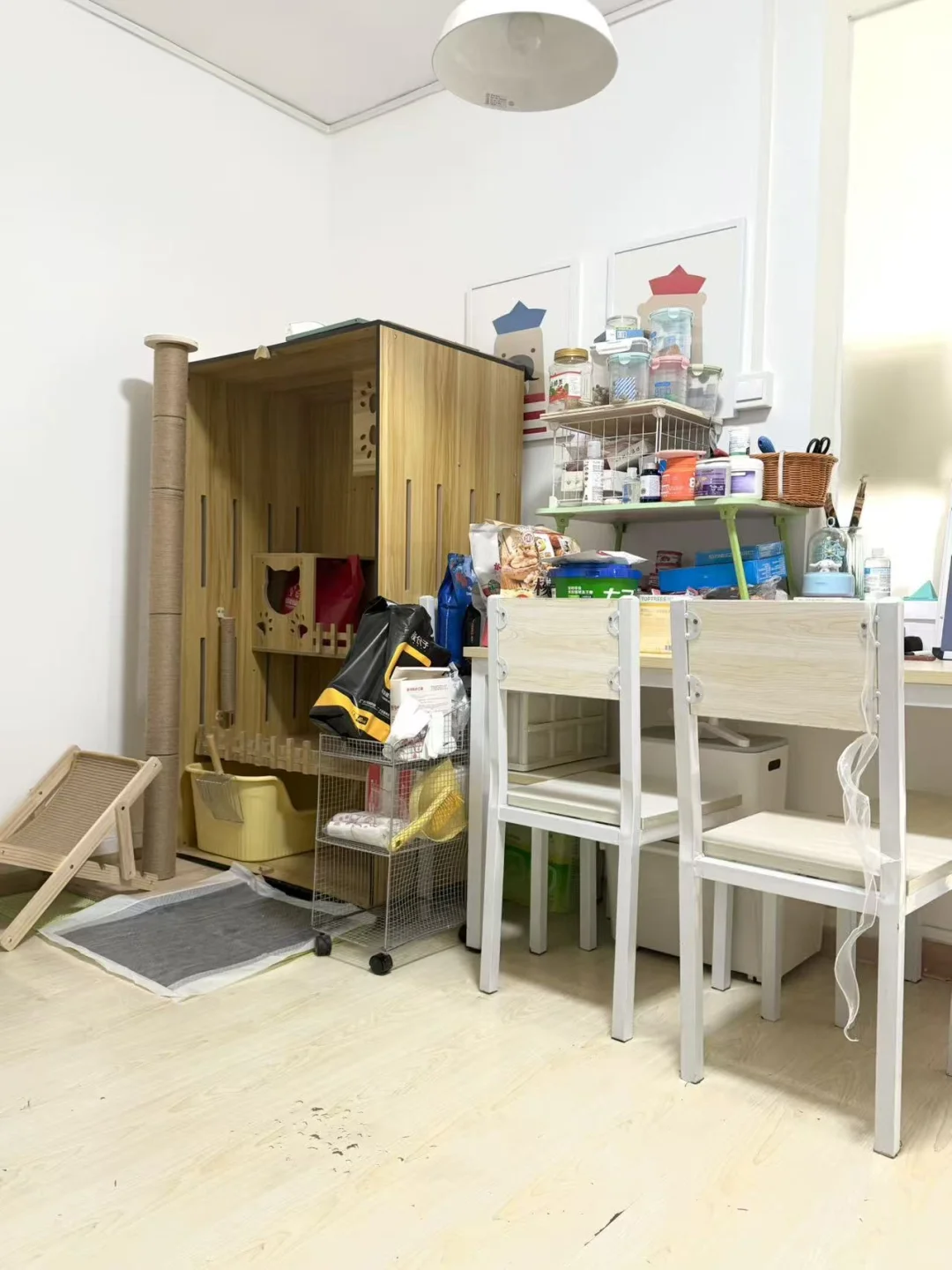 石佛营｜精装修一居室 采光超好💥💥💥