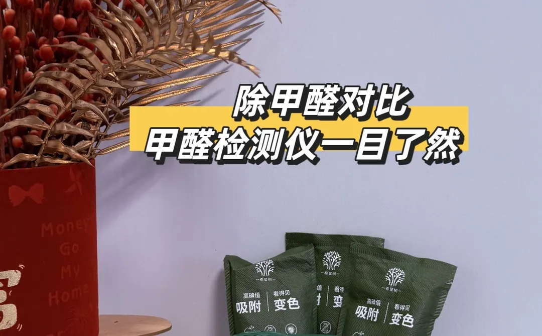 新房除醛组合拳！大小空间全拿捏✨