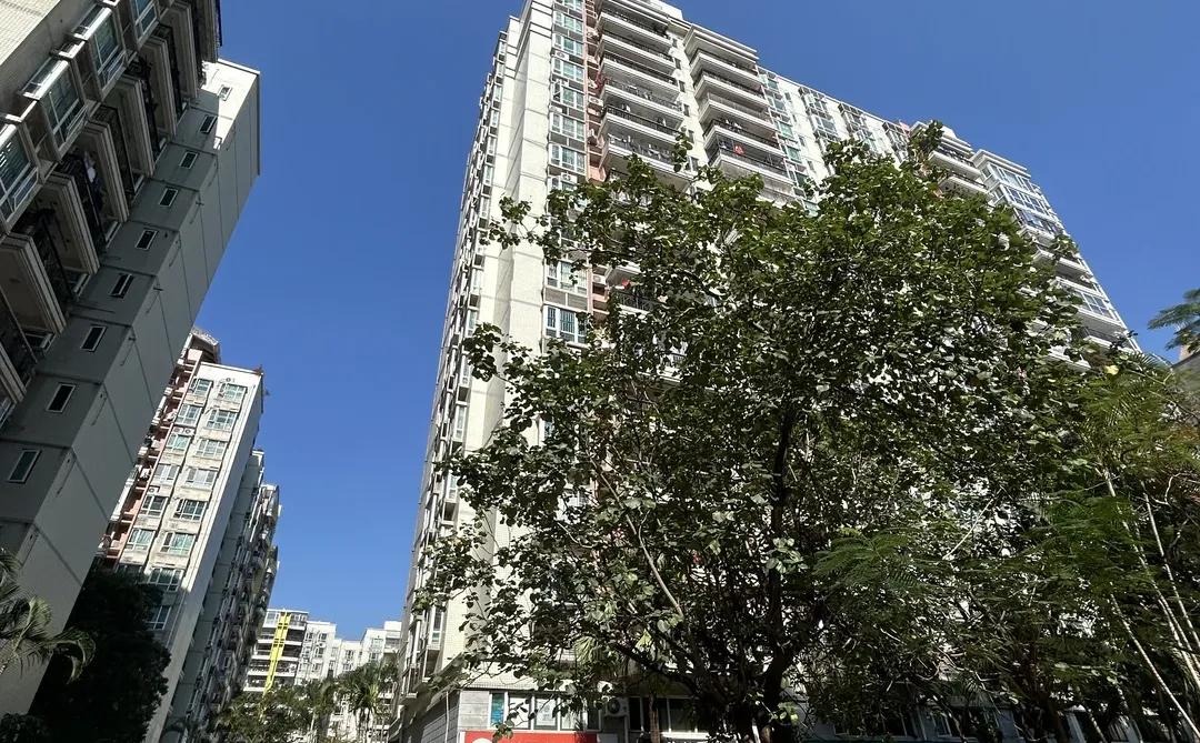 龙岗中心城低密度小高层｜全新装修近100万