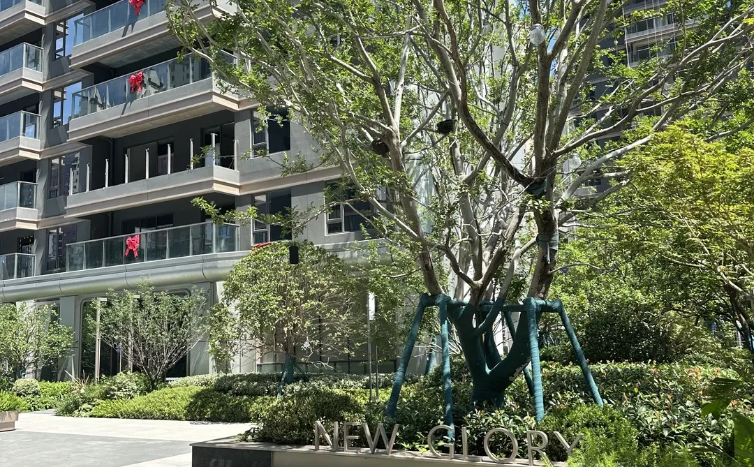 武汉收房记✨保姆级流程+仪式感拉满太治愈！