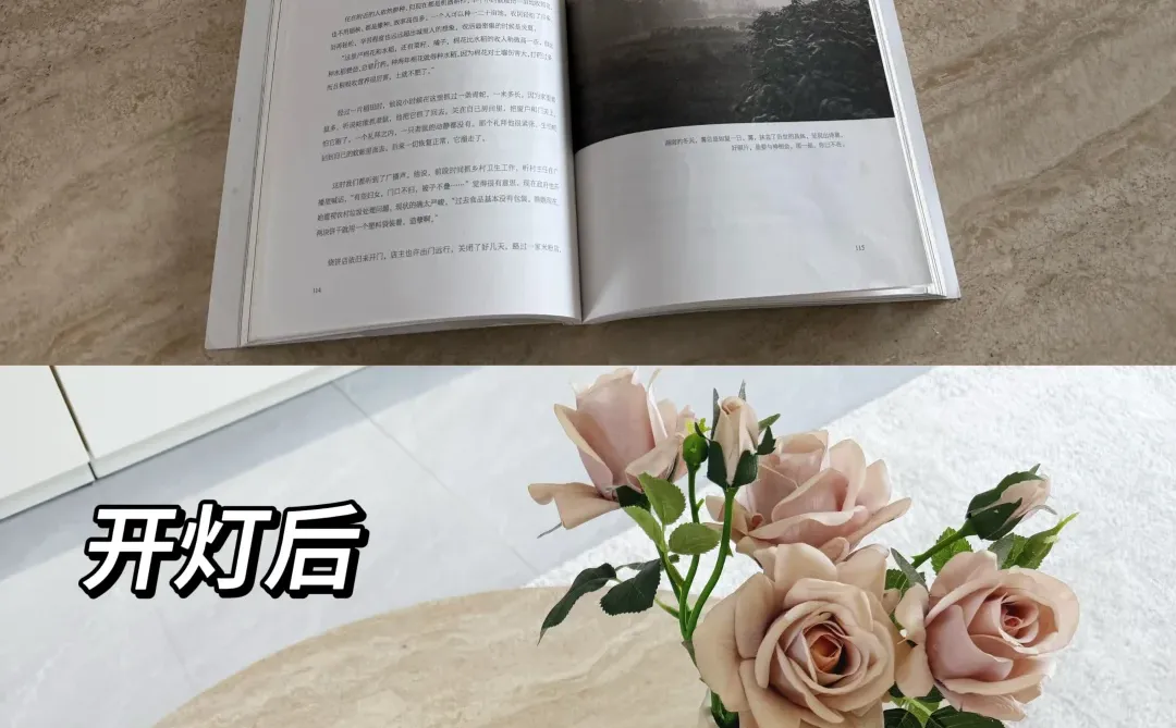 没错，这是我在小红书上很喜欢的一套房子🏠