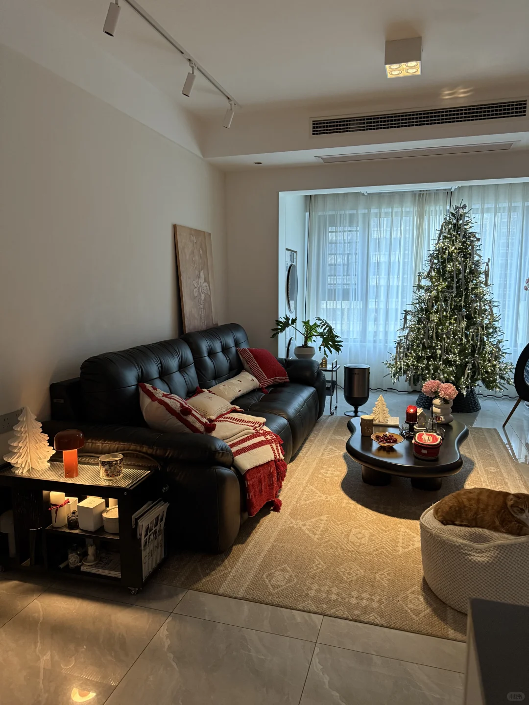 第一次装修成这样，已经很满意了😃