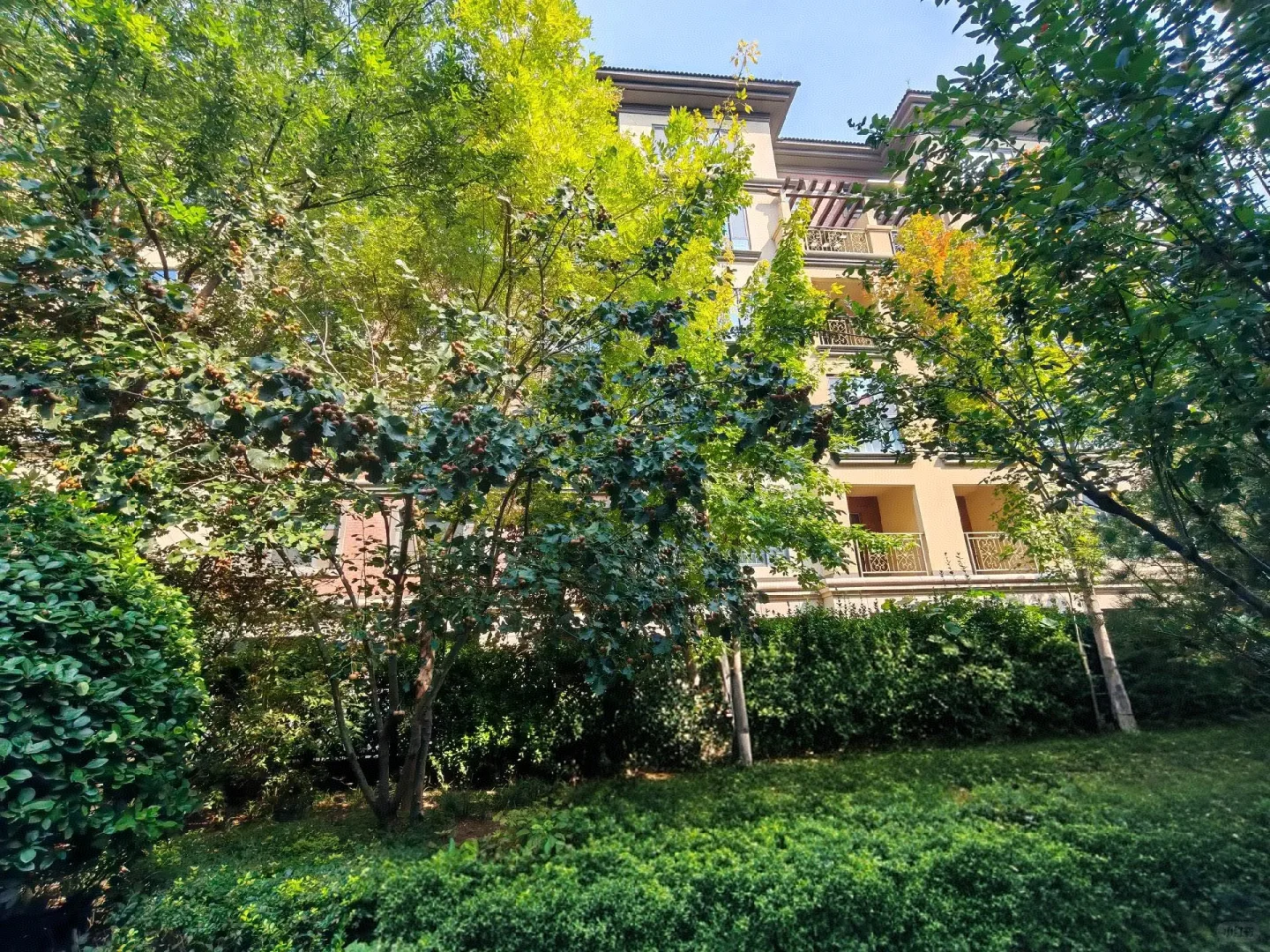 石家庄选房六个月，毕业下车了！！