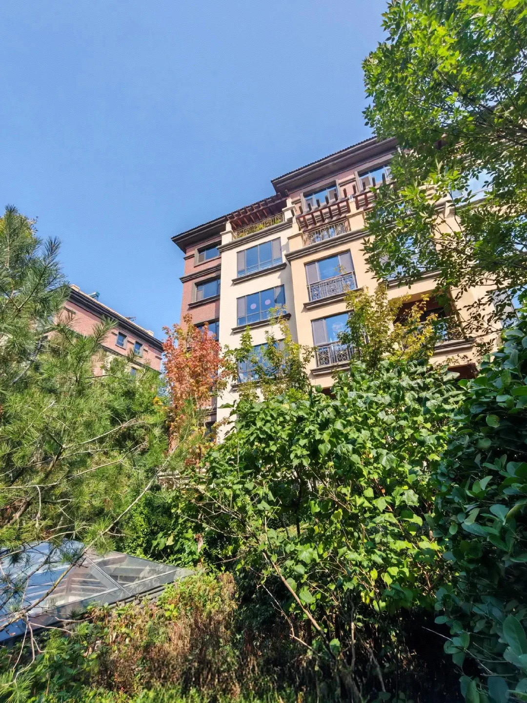 石家庄选房六个月，毕业下车了！！