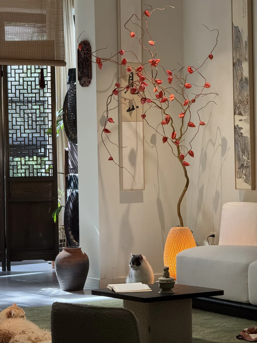 人生第一次装修｜我也算吃到老祖宗的细糠了