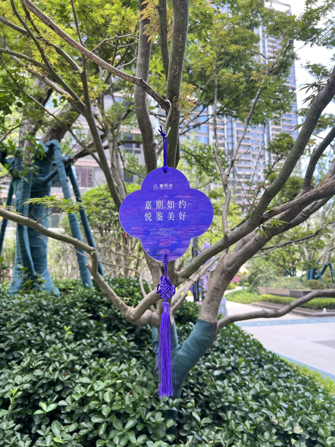 武汉收房记✨保姆级流程+仪式感拉满太治愈！