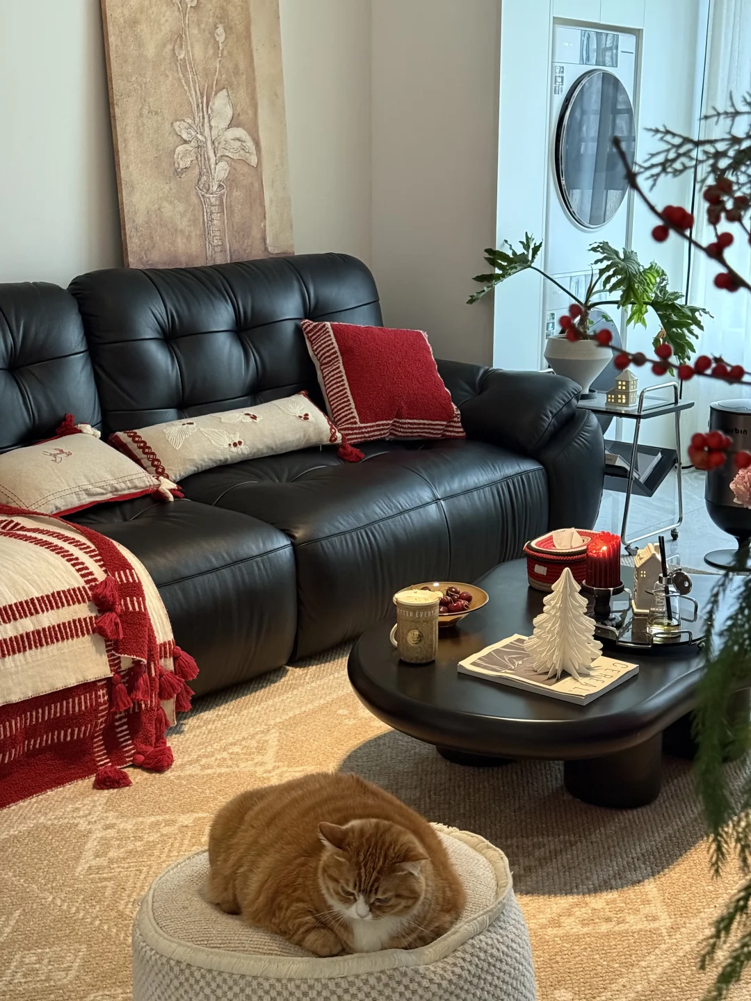 第一次装修成这样，已经很满意了😃