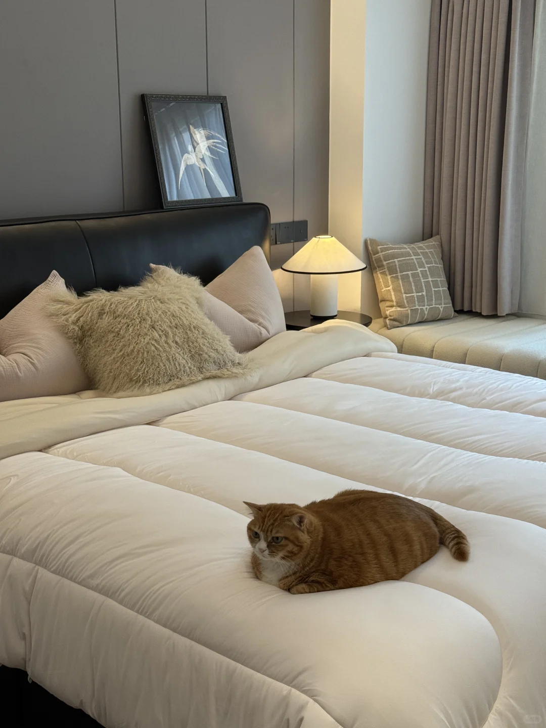 第一次装修成这样，已经很满意了😃